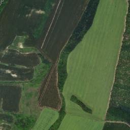Obshtina Lyaskovets map(satellite map)