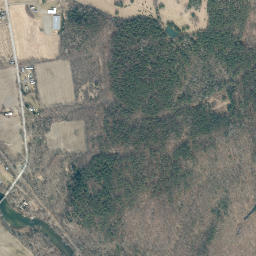 Rexleigh New York High Resolution Satellite Map