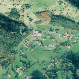 Albiztur map(satellite map)