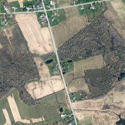 Whitelaw New York High Resolution Satellite Map