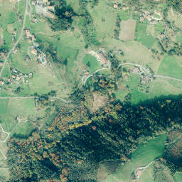 Leaburu map(satellite map)