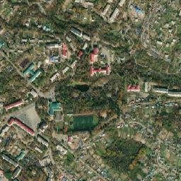 Partizansk map(satellite map)