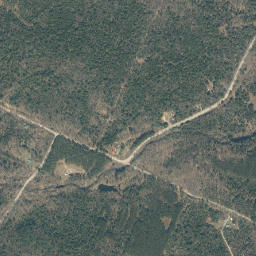 Middle Sprite New York High Resolution Satellite Map