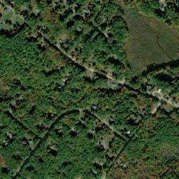 Bow Bog map(satellite map)