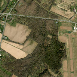 Walesville New York High Resolution Satellite Map