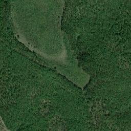 Obshtina Avren map(satellite map)