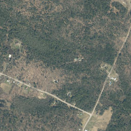 Scotchbrush New York High Resolution Satellite Map