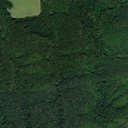 Obshtina Zlataritsa map(satellite map)
