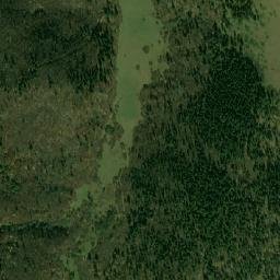 Mest’iis Munitsip’alit’et’i map(satellite map)