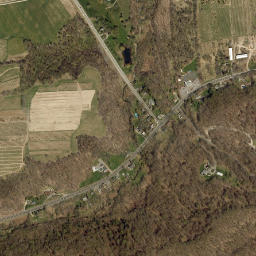 Mycenae New York High Resolution Satellite Map