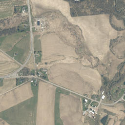 Manheim Center New York High Resolution Satellite Map