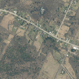 Lassellsville New York High Resolution Satellite Map