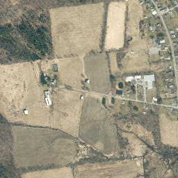 Coila New York High Resolution Satellite Map