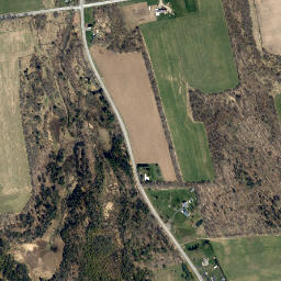 Alene New York High Resolution Satellite Map