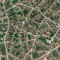 Dolni Chiflik map(satellite map)