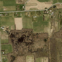 Shepard Settlement New York High Resolution Satellite Map