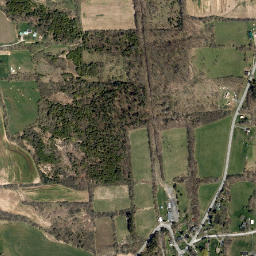 Munns New York High Resolution Satellite Map