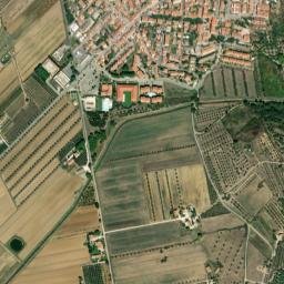 Vignale Riotorto map(satellite map)
