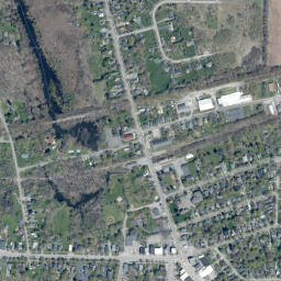 Caledonia map(satellite map)