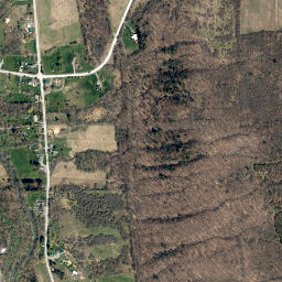 Chittenango Falls New York High Resolution Satellite Map