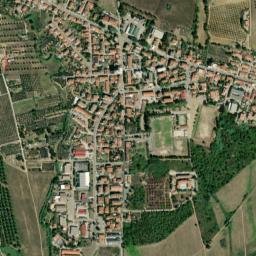 Ribolla map(satellite map)