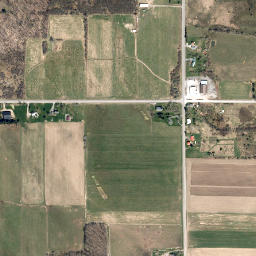 Fenner New York High Resolution Satellite Map