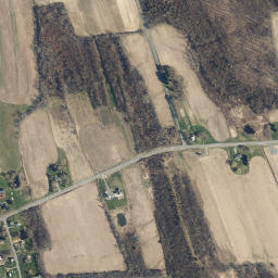 Fosterville New York High Resolution Satellite Map