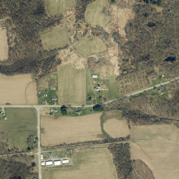 Ray New York High Resolution Satellite Map