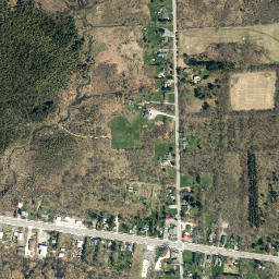 Nelson New York High Resolution Satellite Map