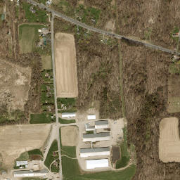 Joshua New York High Resolution Satellite Map