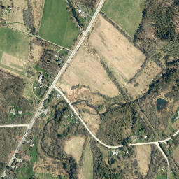Rippleton New York High Resolution Satellite Map