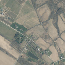 Freysbush New York High Resolution Satellite Map