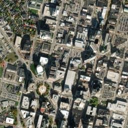 Buffalo map(satellite map)