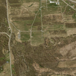 Baileys Settlement New York High Resolution Satellite Map