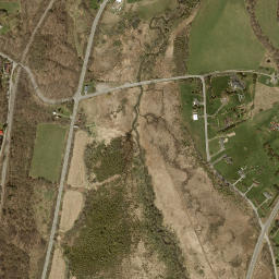 Onativia New York High Resolution Satellite Map