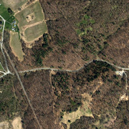 Reynolds New York High Resolution Satellite Map