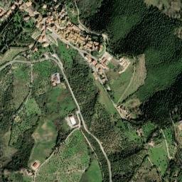 Campagnatico map(satellite map)