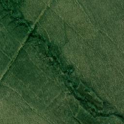 Obshtina Byala map(satellite map)