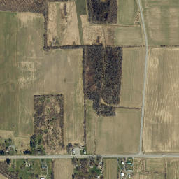 Aloquin New York High Resolution Satellite Map