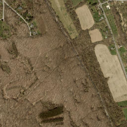 Collingwood New York High Resolution Satellite Map