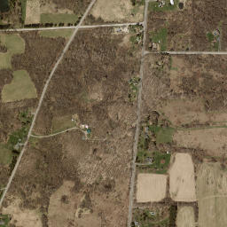 Berwyn New York High Resolution Satellite Map