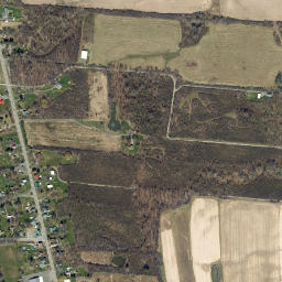 Canoga New York High Resolution Satellite Map