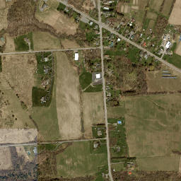 Borodino New York High Resolution Satellite Map