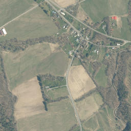 Scotch Bush New York High Resolution Satellite Map