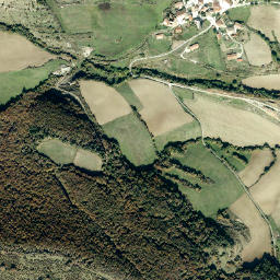 Goñi map(satellite map)