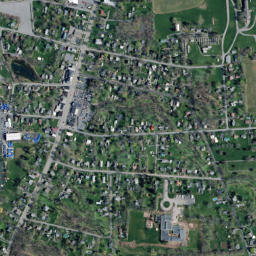 Union Springs map(satellite map)