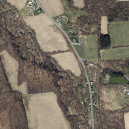 Niles New York High Resolution Satellite Map