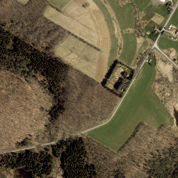 Dogtown New York High Resolution Satellite Map