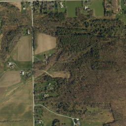 Williston New York High Resolution Satellite Map