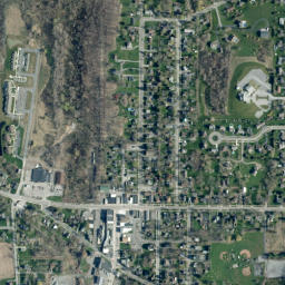 Livonia map(satellite map)